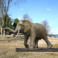 Factory Supply lifeisize bronze elephant sculpture for garden decor